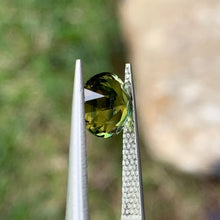 2.41ct Wattle Parti Australian Sapphire, Round