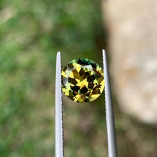 2.41ct Wattle Parti Australian Sapphire, Round