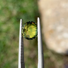 2.41ct Wattle Parti Australian Sapphire, Round