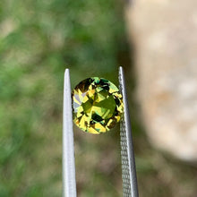 2.41ct Wattle Parti Australian Sapphire, Round