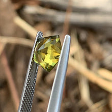 2.46ct Parti Sapphire Pentagon