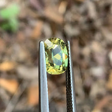 2.6ct Yellow Sapphire Cushion