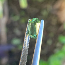 2.71ct Light Yellow Green Sapphire, Cushion