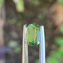 2.71ct Light Yellow Green Sapphire, Cushion