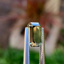 2.76ct Light Greenish Yellow Colour Change Sapphire, (Reddish under Incandescent light), Emerald