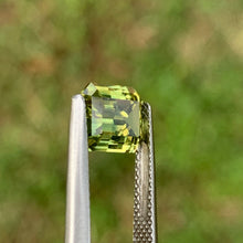 2.7ct Parti Sapphire, Emerald