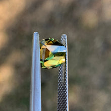 2.94ct Parti Sapphire, Cushion