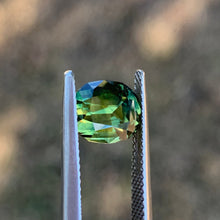 2.94ct Parti Sapphire, Cushion