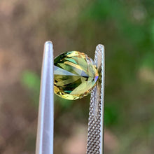 2.98ct Parti Sapphire, Oval