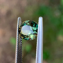 2.98ct Parti Sapphire, Oval