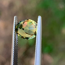 2.98ct Parti Sapphire, Oval