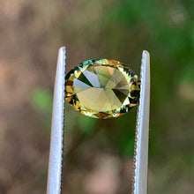 2.98ct Parti Sapphire, Oval