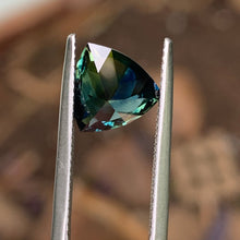 3.02ct Parti Sapphire, Trillion