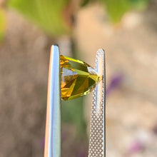 3.08ct Yellow Parti Sapphire, Shield