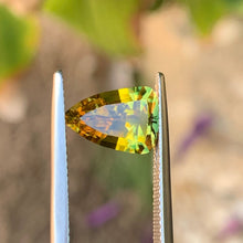 3.08ct Yellow Parti Sapphire, Shield