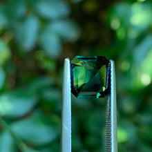 3.32ct Dark Green Blue Sapphire, Octagon