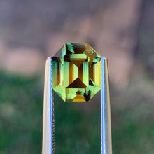 3.54ct Wattle Parti Sapphire, Elongated Octagon