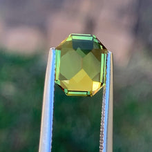 3.54ct Wattle Parti Sapphire, Elongated Octagon