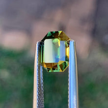 3.54ct Wattle Parti Sapphire, Elongated Octagon