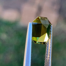 3.54ct Wattle Parti Sapphire, Elongated Octagon