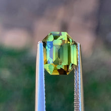 3.54ct Wattle Parti Sapphire, Elongated Octagon