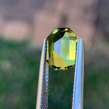 3.54ct Wattle Parti Sapphire, Elongated Octagon