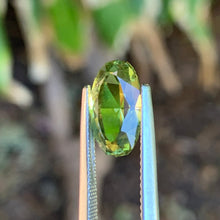 3.62ct Parti Sapphire, Cushion
