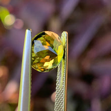 3.65ct Parti Sapphire, Round