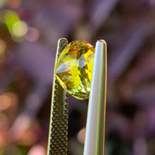 3.65ct Parti Sapphire, Round