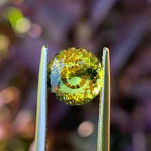 3.65ct Parti Sapphire, Round