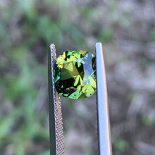 3.66ct Wattle Australian Sapphire, Cushion