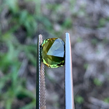 3.66ct Wattle Australian Sapphire, Cushion