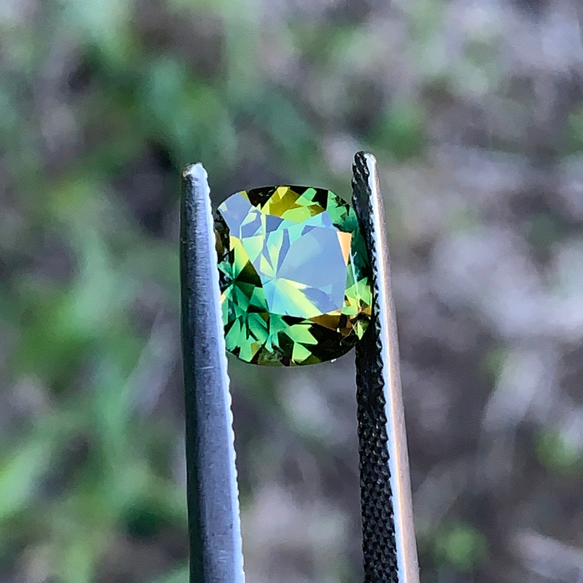 3.66ct Wattle Sapphire, Cushion