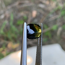 3.69ct Parti Sapphire, Yellow Blue, Cushion