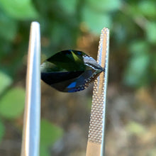 3.6ct Blue Sapphire, Marquise