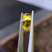 3.84ct Golden Yellow Australian Sapphire, Oval