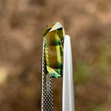3.86ct Tiger Striped Parti Sapphire, Emerald