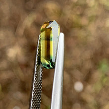 3.86ct Tiger Striped Parti Sapphire, Emerald
