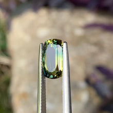 3.8ct Wattle Parti Sapphire. Cushion