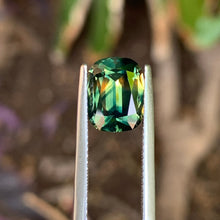 4.15ct Parti Sapphire, Cushion