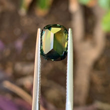 4.15ct Parti Sapphire, Cushion