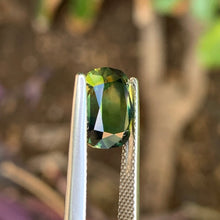 4.15ct Parti Sapphire, Cushion