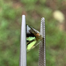 4.18ct Green Parti Flawless Sapphire, Trillion