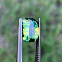 4.21ct Parti Sapphire, Cushion