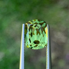 4.55ct Green Australian Sapphire, Cushion
