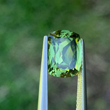 4.55ct Green Australian Sapphire, Cushion
