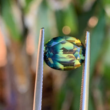 4.65ct Parti Sapphire, Cushion