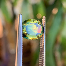 4.65ct Parti Sapphire, Cushion