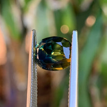 4.65ct Parti Sapphire, Cushion