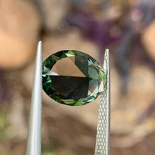 4.87ct Green Australian Sapphire, Oval